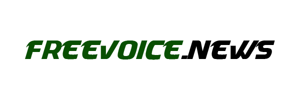 Free Voice News Logo